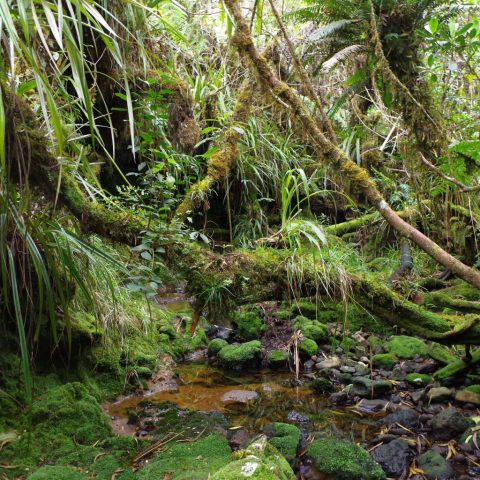 c33397841da865b45668e568d0205918-001