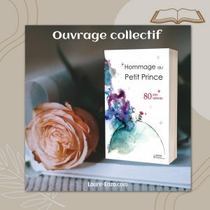Lire la suite à propos de l’article Hommage au Petit Prince