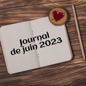 Lire la suite à propos de l’article Journal 06/2023