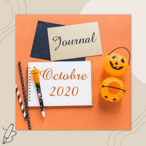 Lire la suite à propos de l’article Journal d’octobre 2020