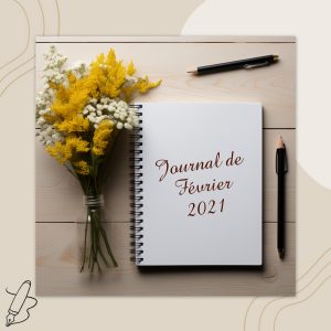 Lire la suite à propos de l’article Journal de Février 2021